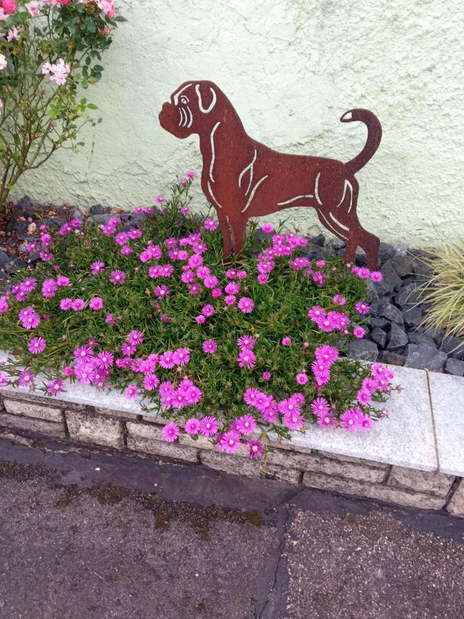 Ferienwohnung Am Kocher-Jagst Radweg Neuenstadt am Kocher Luaran gambar